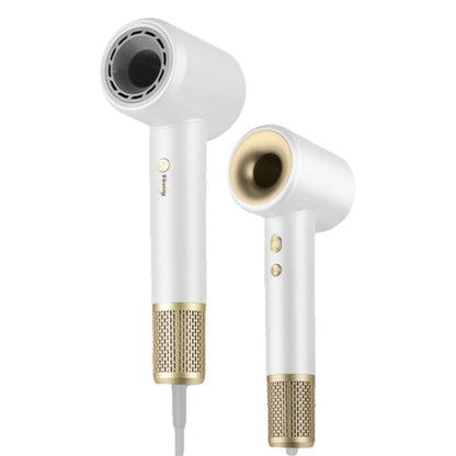 Hair Dryer Household Anion Hair Salon High Power